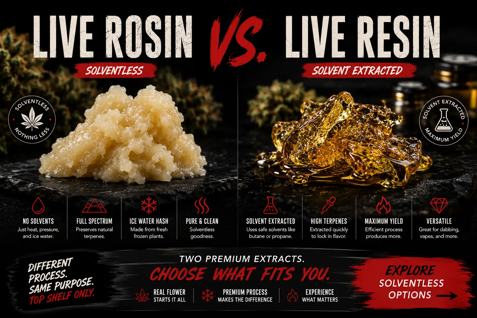 Live Rosin vs. Live Resin infographic — solventless rosin beside solvent-extracted resin with side-by-side callouts comparing process, terpenes, and yield — Fire Breathers