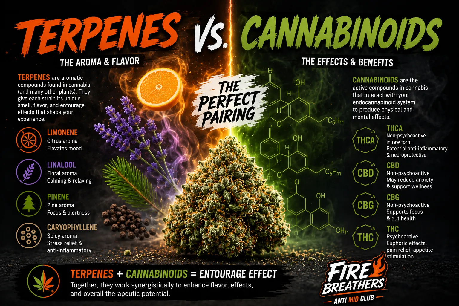 Terpenes vs cannabinoids infographic: cannabinoids are the engine that produces the high, terpenes are the steering wheel that shapes how it feels — Fire Breathers