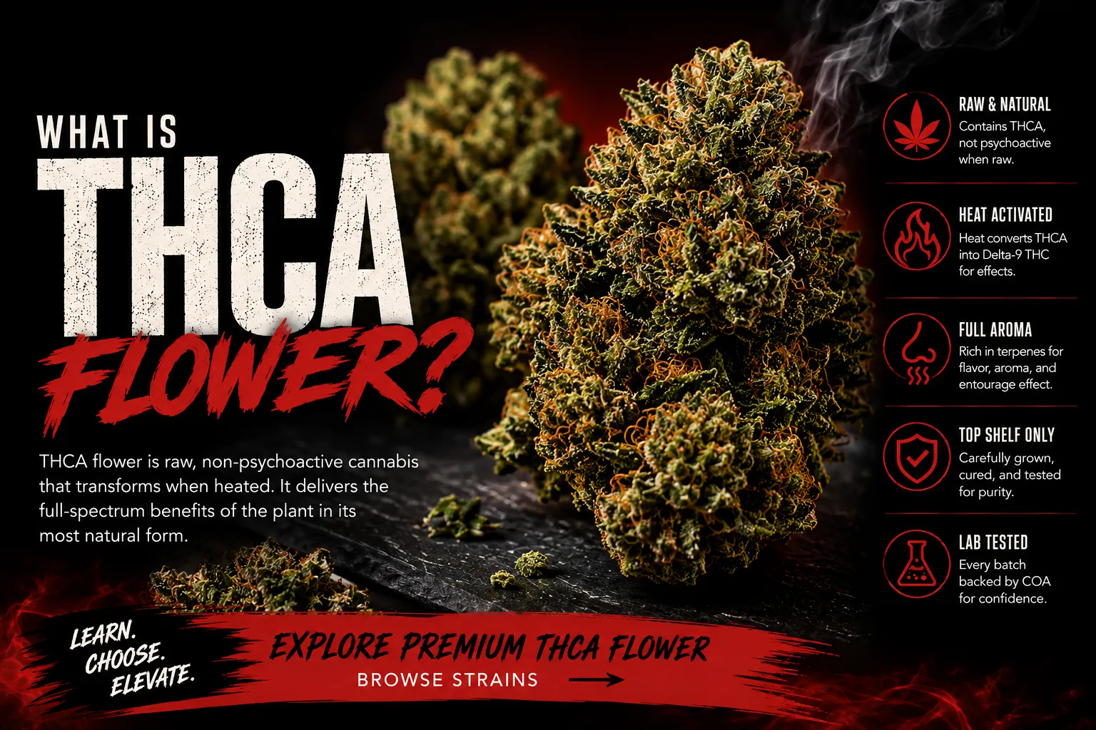 What Is THCA Flower infographic — premium cannabis buds with callouts for raw and natural, heat activated, full aroma, top shelf, and lab tested — Fire Breathers