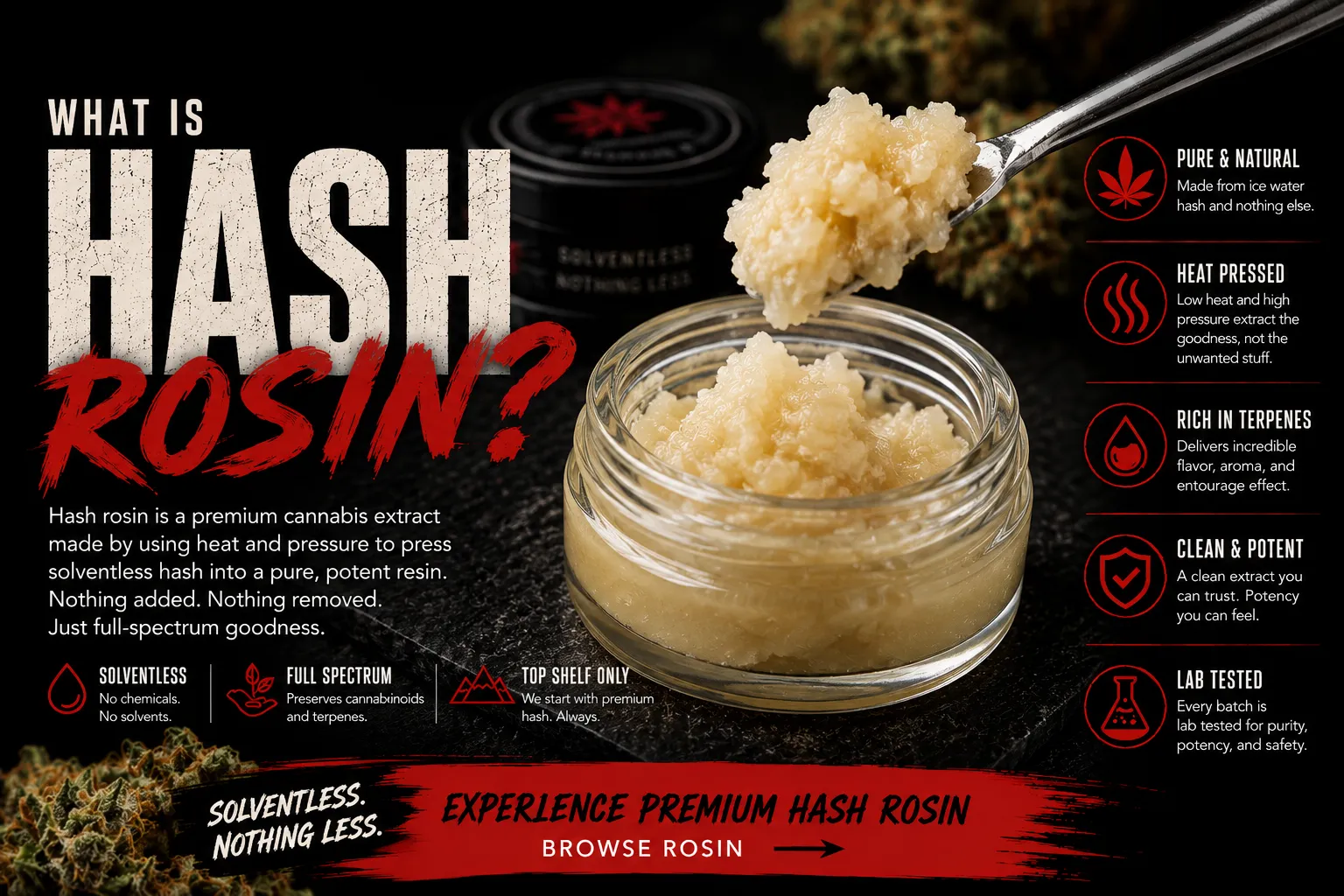 What Is Hash Rosin infographic — a jar of golden solventless rosin with callouts for pure and natural, heat pressed, rich in terpenes, clean and potent, and lab tested — Fire Breathers